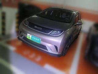 比亞迪海豚2021款 401km 騎士版