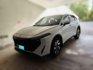 啟辰啟辰大V DD-i2023款 60km iD版