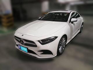 奔驰奔驰CLS2020款 CLS 300 动感型
