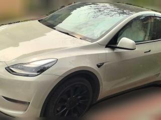 特斯拉Model Y2021款 長續(xù)航全輪驅動版 3D7「佛山二手車」「天天拍車」