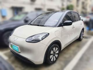 五菱汽車五菱繽果2023款 333km 悅享+款