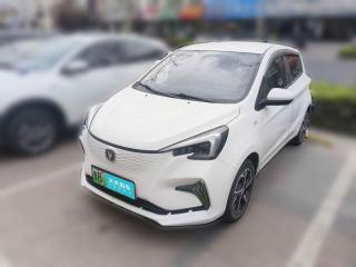 長(zhǎng)安長(zhǎng)安奔奔E-Star2020款 心動(dòng)版 三元鋰