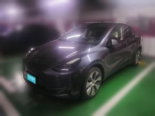 特斯拉Model Y2021款 长续航全轮驱动版