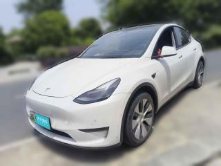 特斯拉Model Y2021款 標準續航后驅版