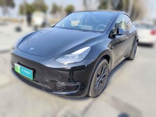 特斯拉Model Y2023款 长续航全轮驱动版