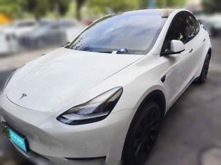 特斯拉Model Y2021款 長續航全輪驅動版 3D7