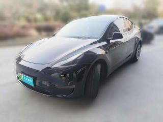 特斯拉Model Y2021款 標準續(xù)航后驅版