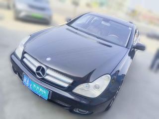 奔驰奔驰CLS2009款 CLS 300