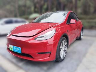 特斯拉Model Y2021款 长续航全轮驱动版