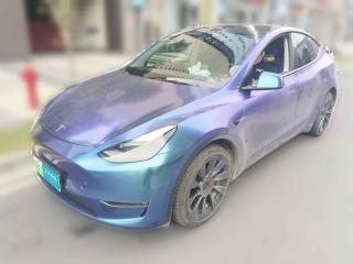 特斯拉Model Y2021款 長續航全輪驅動版