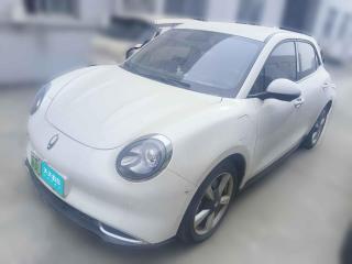 歐拉歐拉好貓2022款 400km標準續(xù)航 豪華型 磷酸鐵鋰