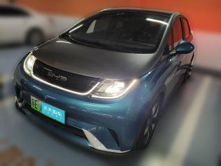 比亞迪海豚2021款 401km 騎士版
