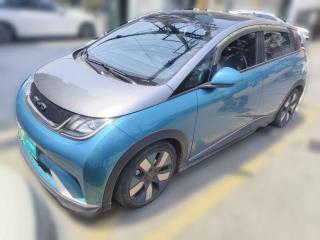 比亞迪海豚2021款 401km 騎士版