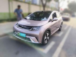 比亞迪海豚2023款 420km 時(shí)尚版