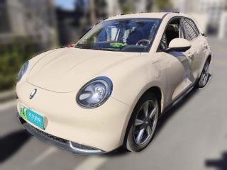 欧拉欧拉好猫2023款 401km标准续航 尊贵型 磷酸铁锂