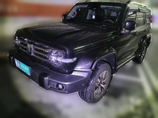 坦克坦克3002024款 2.0T 穿越者