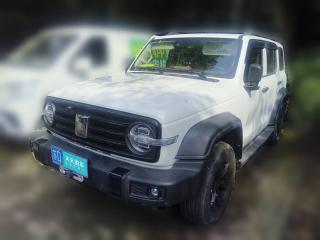 坦克坦克3002021款 越野版 2.0T 征服者