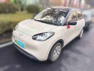 五菱汽车五菱缤果2024款 203km 轻享款