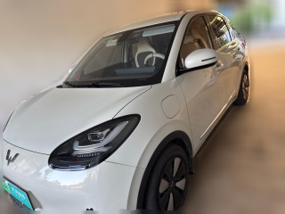 五菱汽車五菱繽果2023款 333km 靈犀互聯+款