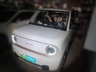 吉利汽車熊貓2023款 熊貓mini 200km 耐力熊