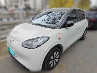 五菱汽车五菱缤果2023款333km灵犀互联款