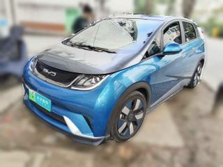 比亞迪海豚2021款 401km 騎士版