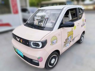 五菱汽车宏光MINIEV2021款 马卡龙时尚款 磷酸铁锂