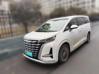 腾势腾势D92022款 DM-i 1040 尊贵型