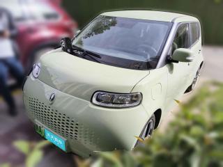 歐拉歐拉白貓2020款 305km 豪華型