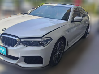 宝马宝马5系2020款 530Li 尊享型 M运动套装