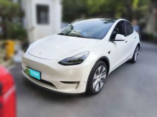 特斯拉Model Y2021款 标准续航后驱版