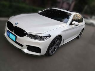 宝马宝马5系2020款530Li尊享型M运动套装