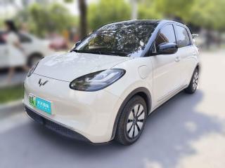 五菱汽車五菱繽果2023款 333km 悅享+款