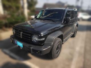 坦克坦克3002021款 越野版 2.0T 征服者