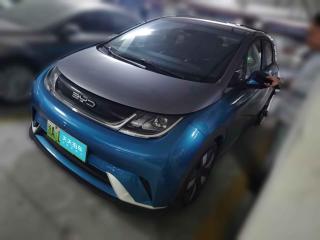 比亞迪海豚2021款401km騎士版