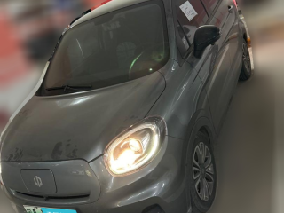 零跑汽車零跑T032020款 400輕享版