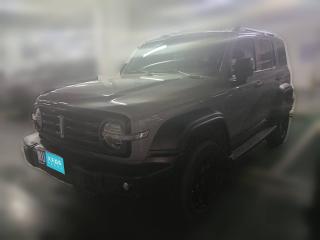 坦克坦克3002021款 越野版 2.0T 征服者