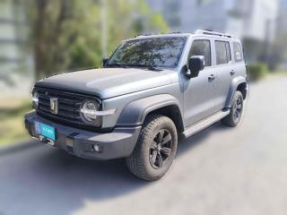 坦克坦克3002023款 越野版 2.0T 征服者