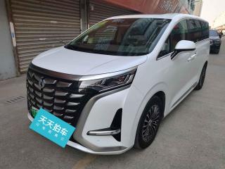 騰勢騰勢D92022款 DM-i 1040 尊貴型