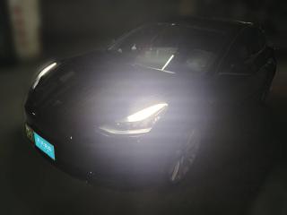 特斯拉Model 32020款 標準續航后驅升級版