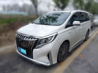 廣汽傳祺傳祺M82021款 大師系列 390T 尊貴版