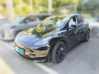 特斯拉Model Y2022款 Performance高性能全輪驅動版