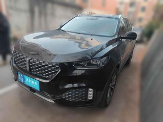 魏牌魏牌 VV62020款 2.0T 兩驅(qū)智護(hù)+「義烏二手車」「天天拍車」