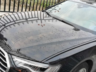 奧迪奧迪A6L2021款 45 TFSI quattro 臻選致雅型