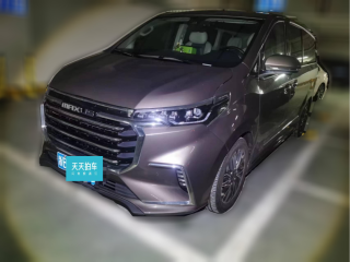 上汽大通MAXUS大通G202020款 2.0T 汽油自動智尊版