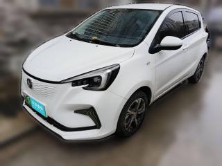 長安長安奔奔E-Star2020款 心動版 三元鋰