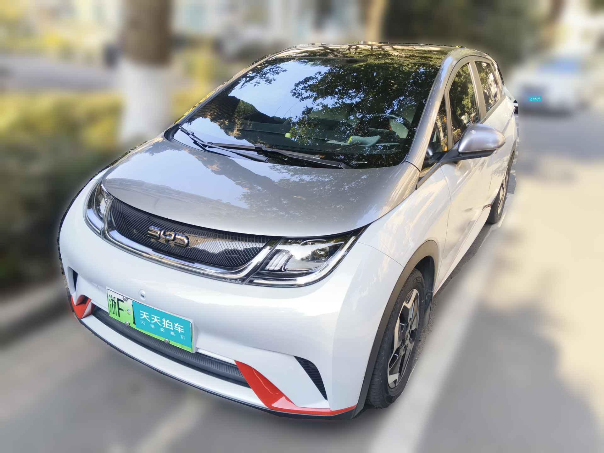 [嘉兴·浙F] 比亚迪海豚2021款 405km 时尚版