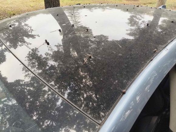 [武汉·鄂A] 二手小鹏小鹏P52022款 460E+