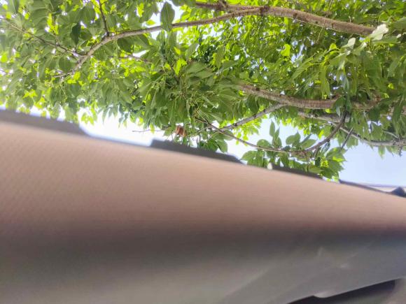 [嘉兴·浙A] 二手吉利几何吉利几何E萤火虫2022款 401KM 玲珑虎 4座