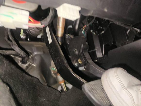 [杭州·浙A] 二手欧拉欧拉黑猫2019款 351km 灵趣版